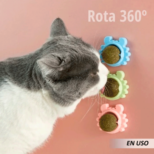 Bola de menta para gato