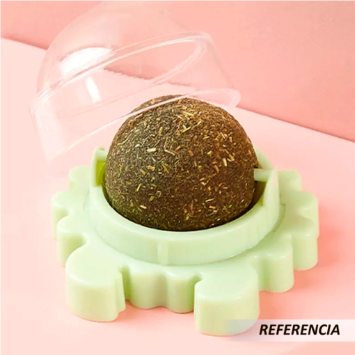 Bola de menta para gato - Imagen 5