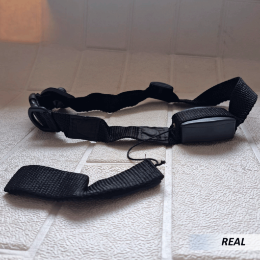 Collar y Correa para Perros - Imagen 4