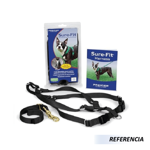 Collar y Correa para Perros - Imagen 5