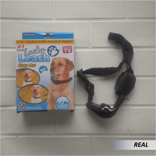 Collar y Correa para Perros - Imagen 3