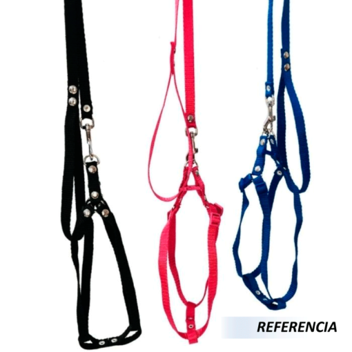 Correa y pechera - Imagen 5