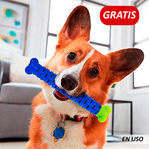 Hueso cepillo de dientes para mascota - Imagen 2