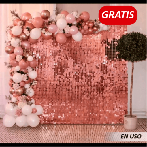 Cortina de Lentejuelas de Decoración color plateado - Imagen 2