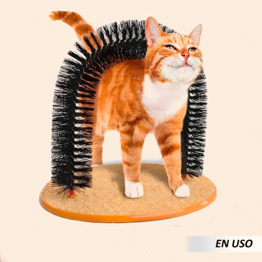 Masajeador para arco de gato