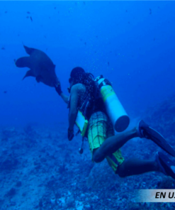 Aletas de buceo para natación